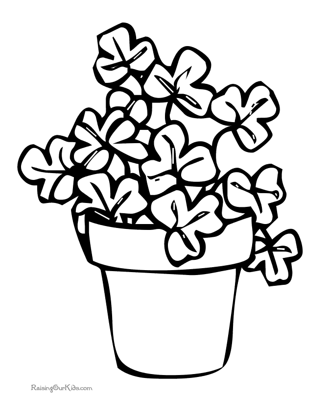 shamrock coloring pages